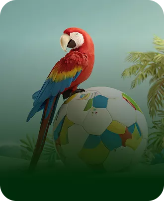 Perroquet football mobile Winoui Casino